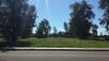 Oleander Drive photo